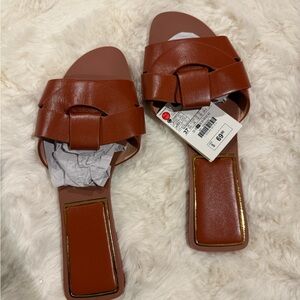 Elegant Brown Women's Slide Sandals